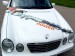 FARAGUNA STIHL. Design und Umsetzung der Fahrzeugbeschriftung - 3D Motiv erstellt von Twinpictures